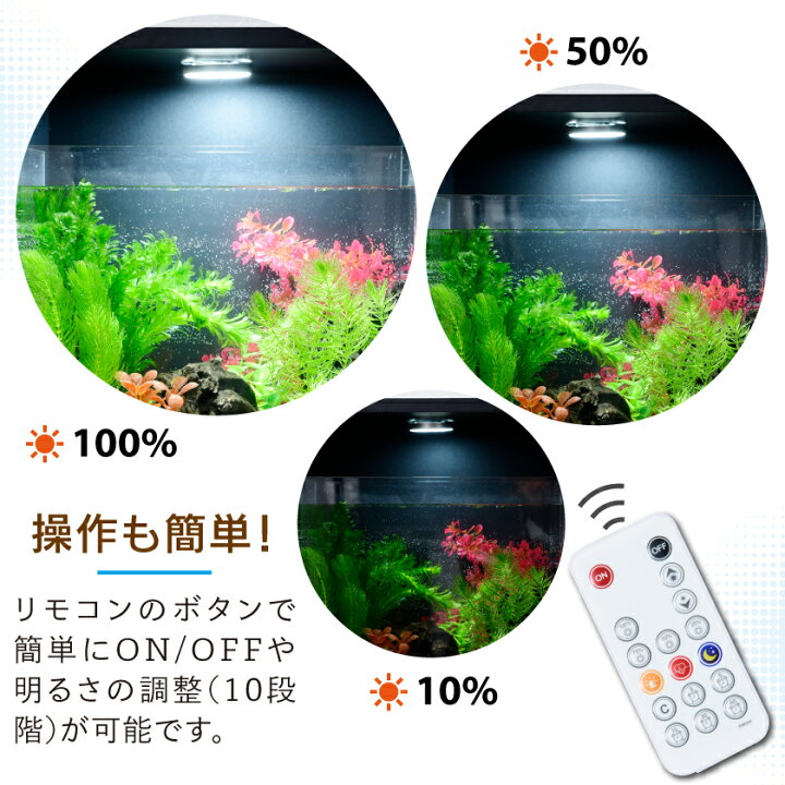 楽天市場】水槽が映える LEDライト付き アクアリウムボックス 本体 
