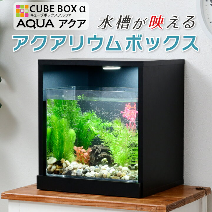楽天市場】LED付き 水槽セット 【送料無料】 アクアリウム アクリル 