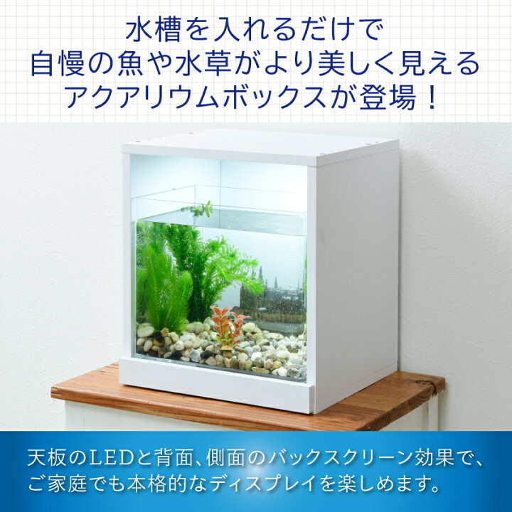 楽天市場】LED付き 水槽セット 【送料無料】 アクアリウム アクリル  