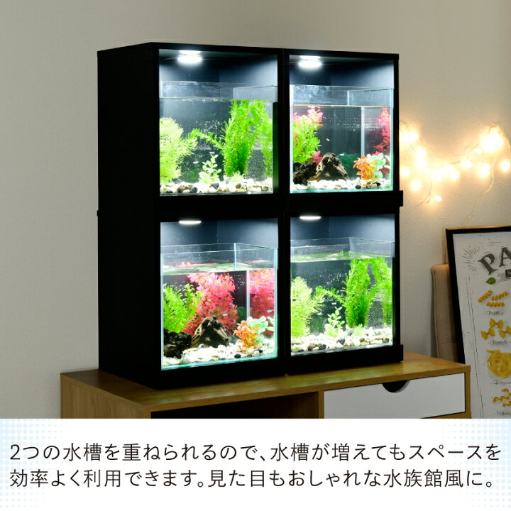 楽天市場】LED付き 水槽セット 【送料無料】 アクアリウム アクリル 