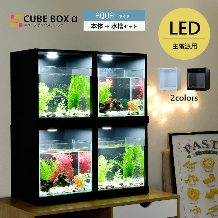 楽天市場】LED付き 水槽セット 【送料無料】 アクアリウム アクリル  