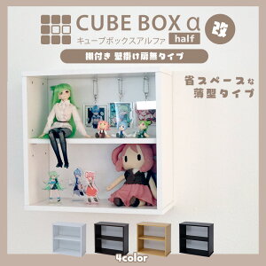 y10聚5%OFFN[|z Ǌ| L[u{bNX n[t  wʃubN wʃzCg It^Cv RNVP[X ^ tBMAP[X  ؐ RpNg ` 