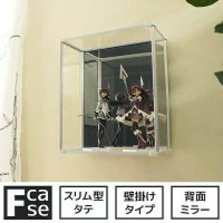 楽天市場】壁掛け コレクションボックス Fケース スリム・タテ型 (背面 