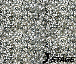 yJ-STAGE X^_[h M[^Cvp ʃfUCV[gz ~Γ  n H RN[g   y