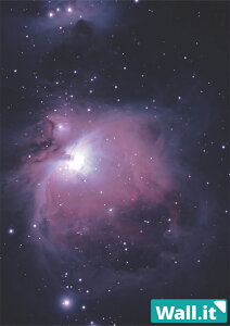 yWall.it A4 tBMAfBXvCP[XpwʃfUCV[g cz  F f SF