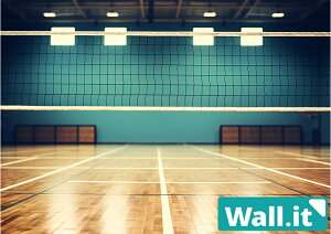 y305%OFFN[|z yWall.it A4 tBMAfBXvCP[XpwʃfUCV[g z̈ o[{[R[g o[{[lbg i  Ɩ