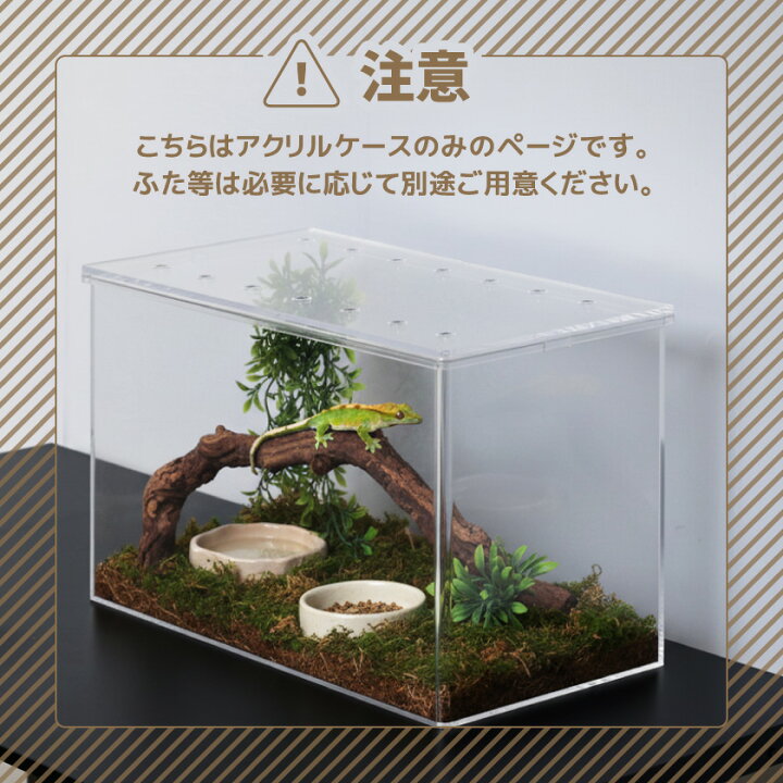 楽天市場】飼育ケース 飼育ケージ 幅60cm×高さ36cm奥行30cm 飼育かご 