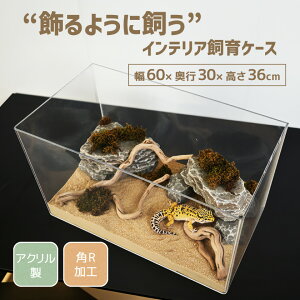 P[X P[W 60cm×36cms30cm 炩 e ঒   nX^[  AN P[W   vP[X vX`bN  DIY ʋC  NA