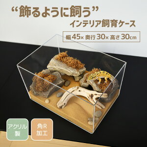 P[X P[W 45cm×30cms30cm 炩 e ঒   nX^[  AN P[W   vP[X vX`bN  DIY ʋC  NA