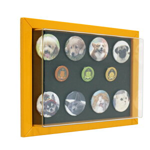 ʃob` [ Ǌ| RNV fBXvC P[X ʃobW fBXvCP[X uvJbg ߋ 킢 