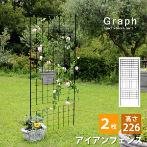 y25聚10%OFFN[|z nʂɎh K[ftFX 226 nC^Cv 2g ACAtFX  gX zCg  ubN  GNXeA Vv A x eB