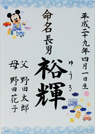 楽天市場 ディズニー 命名紙 メモリアル 記念品 出産祝い ギフト キッズ ベビー マタニティの通販