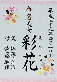楽天市場 ディズニー 命名紙 メモリアル 記念品 出産祝い ギフト キッズ ベビー マタニティの通販