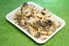 楽天市場 アカニシ貝の通販