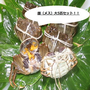 y{ꒆYzCI X  I 5CZbg @110gO  MtgɃIXX I I[_[Ă}Ⓚ