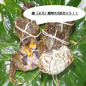 楽天市場 上海蟹の通販 楽天市場 上海蟹の通販