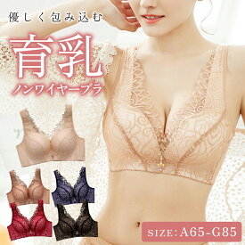 ブラジャー ノンワイヤー ナイトブラ 脇肉スッキリ ブラ 大きいサイズ 育乳ブラ 40代 30代 20代 脇高 脇肉 補正ブラ 育乳 送料無料 NOD ナイトブラジャー 下着 女性 レディース セクシー レース ホールド バスト 補整