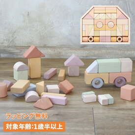 Ed・Inter エドインター 積み木 つみきのいえL 1歳半から 知育玩具 おもちゃ 木のおもちゃ エド・インター 男の子 女の子 日本製 809549