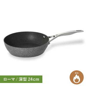 BALLARINI �o�b�����[�j �t���C�p�� ���[�} 24cm �[�^ �K�X�ΐ�p 75001-795