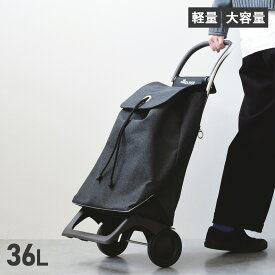 【最大1000円OFFクーポン配布中】 ROLSER 365 methods SHOPPING CART JOY ロルサー ショッピングカート キャリーカート ショッピングバッグ 365メソッド ジョイ メンズ レディース 36L 折りたたみ 大容量 軽量 撥水加工 ダーク グレー オレンジレッド