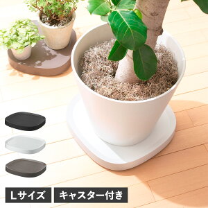 tidy PLANTABLE L eBfB v^[X^h  M z[L[ v^u [W  LX^[t 傫 ubN zCg uE  OT-668-101