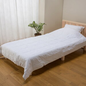 fossflakes X[p[Lg tHXtCNX |zc LgPbg VO ėp ӂƂ 􂦂 EHbVu ېOK FF-150S