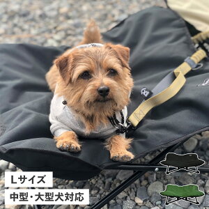 yő1000~OFFN[|sz 5050WORKSHOP 5050PET ANML COTT tBteBtBteB[NVbv xbh ybgp Rbg LTCY ܂肽 ^ ^ ubN O[  TR017-5PT-4259 4260