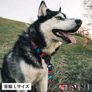 WOLFGANG COLLAR EtMO  ^p LTCY ֌ }&r[Xg MAN&BEAST