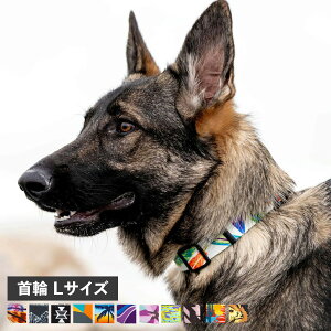 WOLFGANG COLLAR EtMO  ^p LTCY ֌ }&r[Xg MAN&BEAST