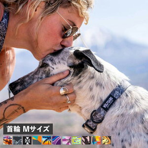 WOLFGANG COLLAR EtMO  ^p MTCY ֌ J[ }&r[Xg MAN&BEAST