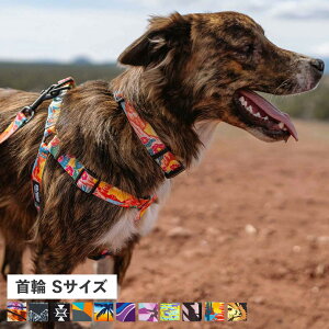 WOLFGANG COLLAR EtMO  ^p STCY ֌ J[ }&r[Xg MAN&BEAST }&r[Xg MAN&BEAST