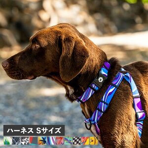 WOLFGANG HARNESS EtMO n[lX  ^p STCY }&r[Xg MAN&BEAST