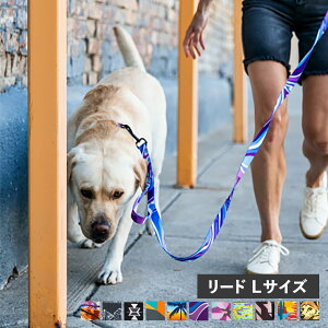 yő1000~OFFN[|sz WOLFGANG LEASH EtMO [h ^ ^ LTCY [V