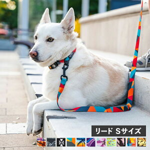 WOLFGANG LEASH EtMO [h ^p STCY [V