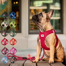 Curli CLASP VEST AIR MESH HARNESS カーリー ハーネス エアメッシュ ベスト クラスプ 3XS-S 小型犬対応 胴輪 歩行補助