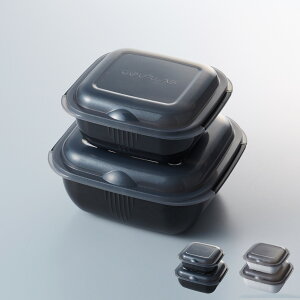 GOURLAB O{vX AhoX O{ dqW  }` 6_Zbg ۑe X`[}[ H@Ή ȒP Z ubN zCg   GLBADV