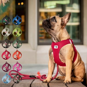 Curli CLASP VEST AIR MESH HARNESS カーリー ハーネス エアメッシュ ベスト クラスプ XS-S 小型犬対応 胴輪 歩行補助