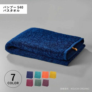 yő1000~OFFN[|sz IKEUCHI ORGANIC BAMBOO 540 CPE`I[KjbN ^I oX^I ou[540  唻 炩 z { lCr[ Cbh O[ IW p[