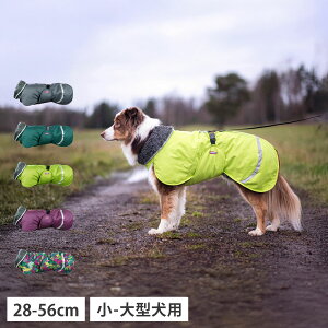 Pomppa TOPPA POMPPA |bp hbOEFA hbOR[g hbOWPbg p ϋv h h ۉ O[ O[ p[v }`