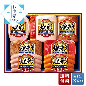 お中元 早割 御中元 夏ギフト プレゼント ギフト 暑中見舞い 2024 送料無料 丸大食品 煌彩ギフト 「MV-767」