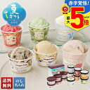 お中元 早割 御中元 夏ギフト ギフト プレゼント 暑中見舞い 2025 送料無料 「ハーゲンダッツ」＆アイスアソートギフト「HES-DS」スイーツ アイス アイスクリーム ハーゲンダッツ ハーゲン 贈り物 お返し ご挨拶 詰め合わせ のし 名入れ可