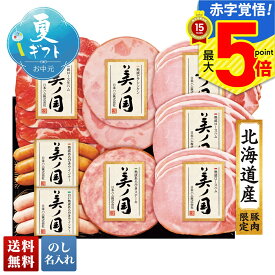 お中元 早割 御中元 夏ギフト ギフト プレゼント 暑中見舞い 2025 送料無料 日本ハム 北海道 プレミアム 美ノ国「UKH-48」肉加工品 ハム ブランドハム 日本ハム 美ノ国 プレミアム 贈り物 お返し ご挨拶 詰合せ 詰め合わせ のし 名入れ可