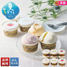 お中元 早割 御中元 夏ギフト ギフト プレゼント 暑中見舞い 2025 送料無料 カウベル 北海道アイスクリーム 9個「A19-1B」スイーツ アイス アイスクリーム 北海道 約9個 贈り物 お返し ご挨拶 詰合せ 詰め合わせ のし 名入れ可