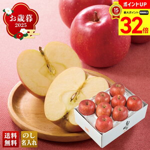 yBLACK FRIDAYő32{z Ε Ε  ~Mtg AΕ Mtg v[g  Mtg 2025 JAȂ̐{n Tӂ uA12-1v t[c ʕ  S ӂ JAȂ̐{