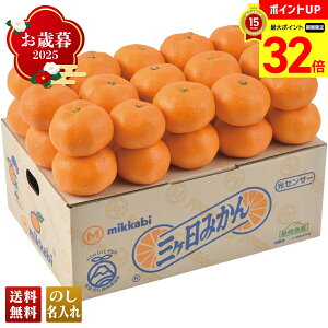 yBLACK FRIDAYő32{z Ε Ε  ~Mtg AΕ Mtg v[g  Mtg 2025 ÉY OP݂ uA13-1v t[c ʕ ݂ ~J  ÉY