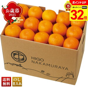 yBLACK FRIDAYő32{z Ε Ε  ~Mtg AΕ Mtg v[g  Mtg 2025 ꌧY Â݂ uA13-3v t[c ʕ ݂ ~J  ꌧY