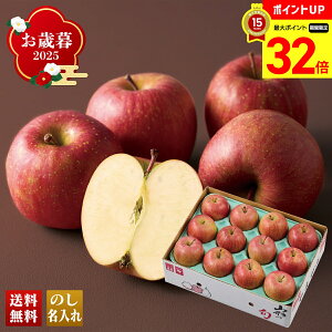 yBLACK FRIDAYő32{z Ε Ε  ~Mtg AΕ Mtg v[g  Mtg 2025 R`Y Tӂ uB12-2v t[c ʕ  S R`Y Tӂ lC i 