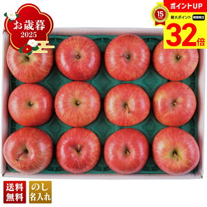 yBLACK FRIDAYő32{z Ε Ε  ~Mtg AΕ Mtg v[g  Mtg 2025 JAOO Tӂ񂲁iW[j uB12-3v t[c ʕ  S 