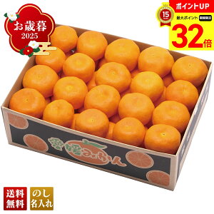 y}\ő32{z Ε Ε  ~Mtg AΕ Mtg v[g  Mtg 2025 Q݂ uB13-4v t[c ʕ ݂ ~J  Q݂