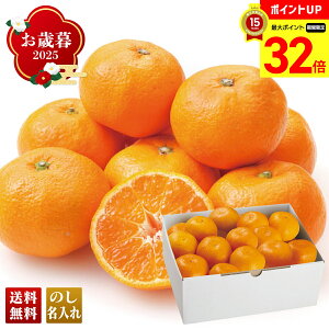 yBLACK FRIDAYő32{z Ε Ε  ~Mtg AΕ Mtg v[g  Mtg 2025 킩܏M݂O[v 킩܏M݂ uB13-6v t[c ʕ ݂ ~J 